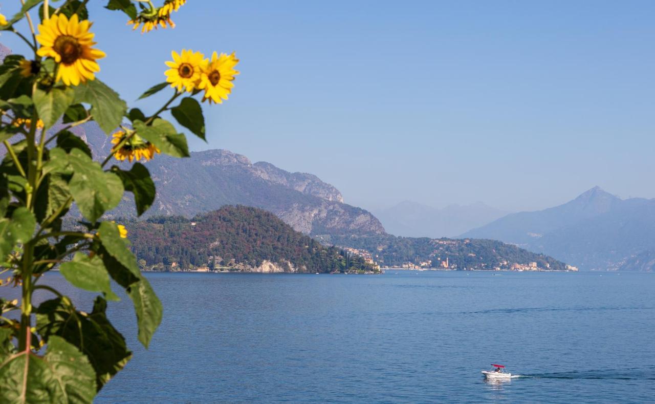 Appartamento Sosta Sul Lago 勒泽诺 外观 照片
